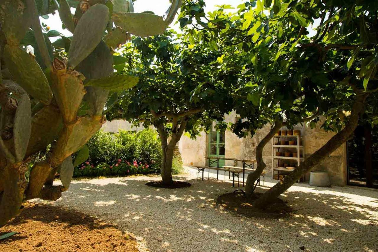 Masseria Celano 格罗塔列 外观 照片